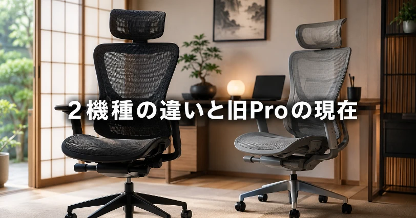 2脚のエルゴノミクスチェアを並べて選択を表現したイメージ。Pro 2とPremium 2を比較する章の導入画像